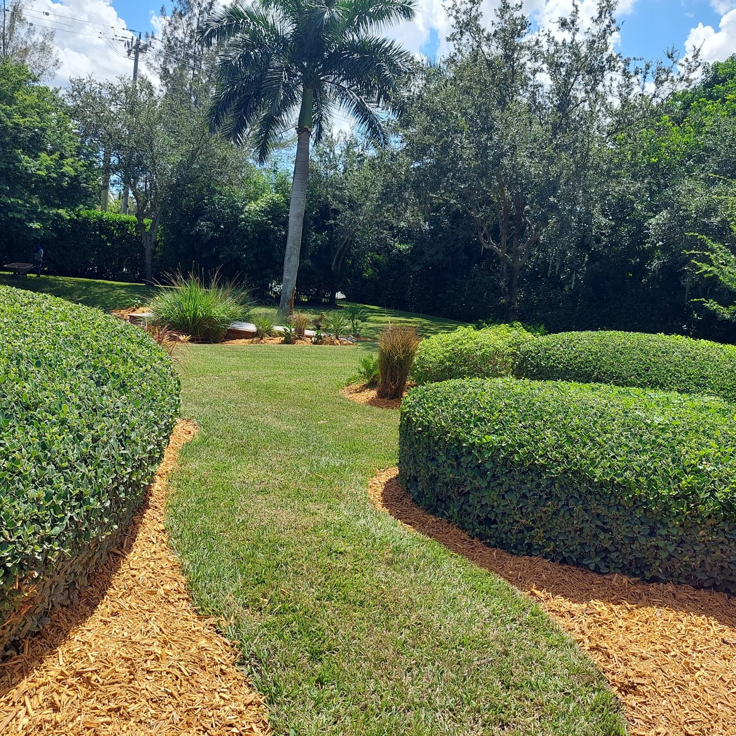 Property Cleanups