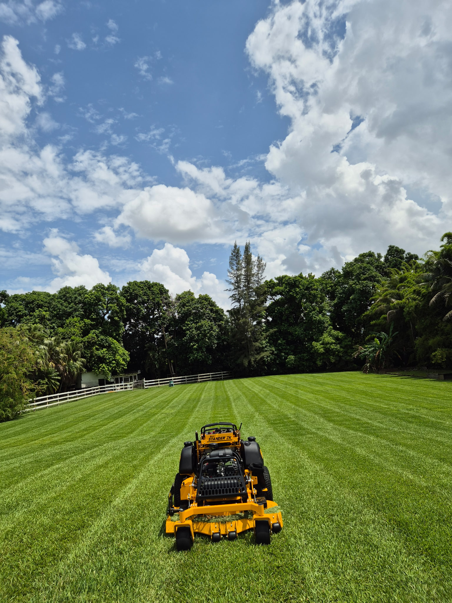 Lawn Maintenance