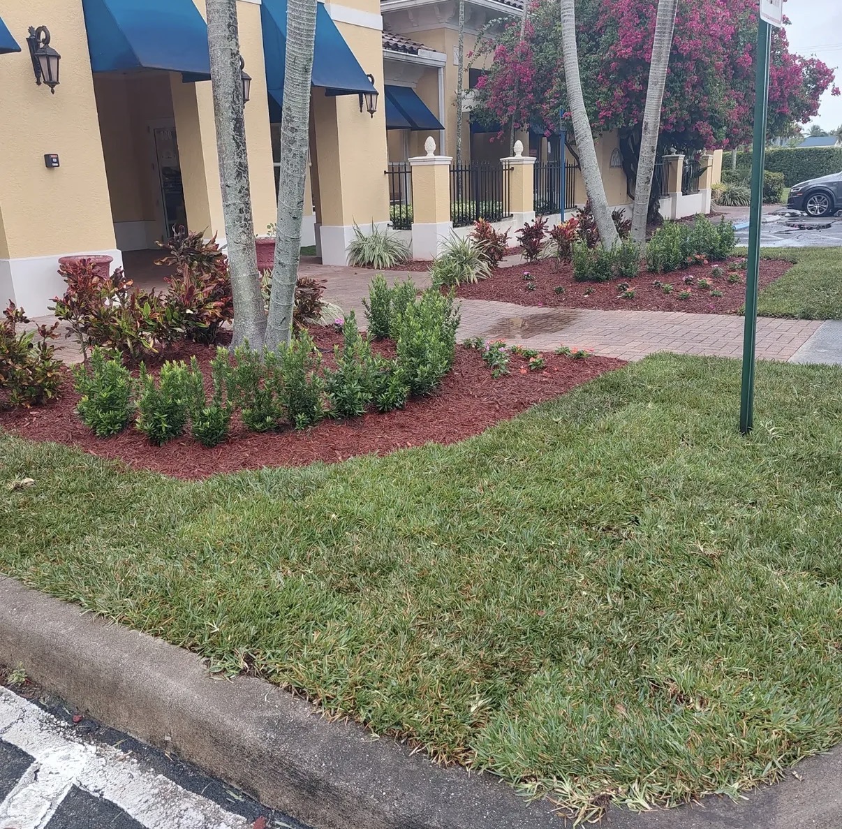 Commercial Property Landscaping