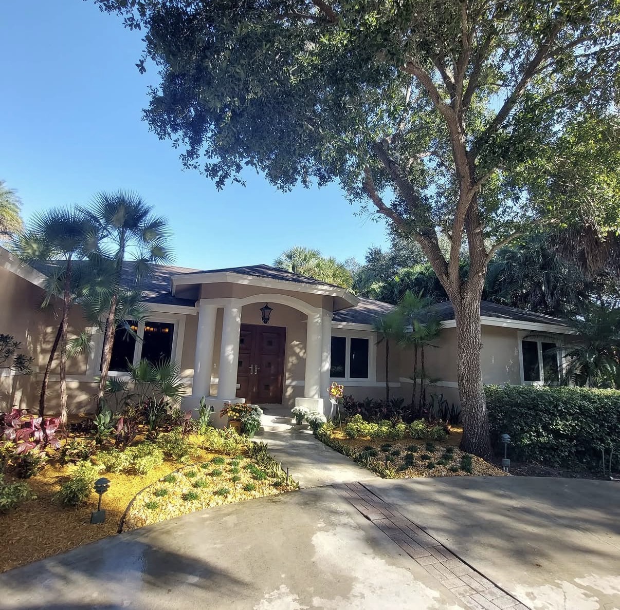 Front Entry Landscape Design