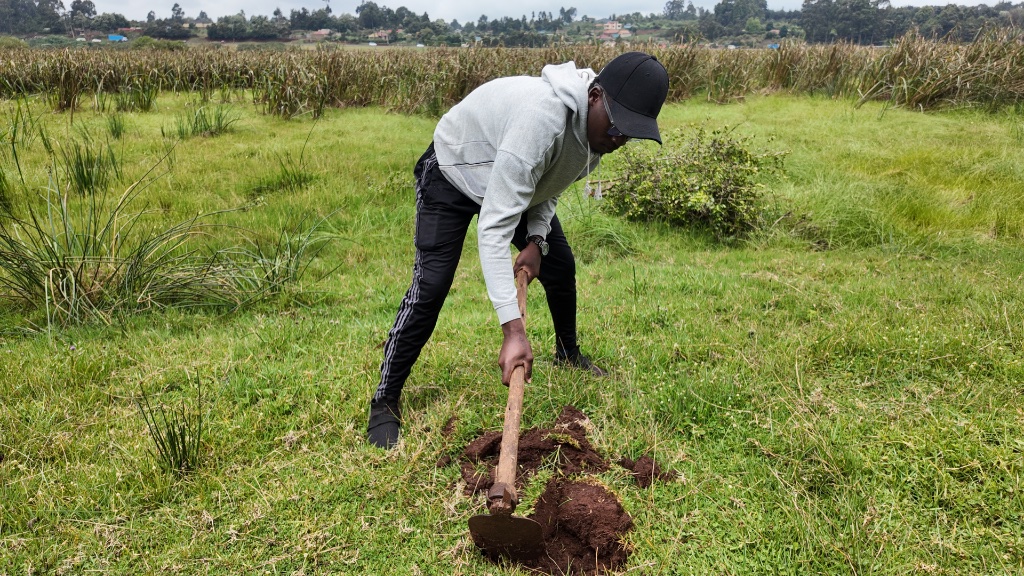 Community member preparing ground for tree planting at Manguo Wetland, Limuru, Kenya, November 2025