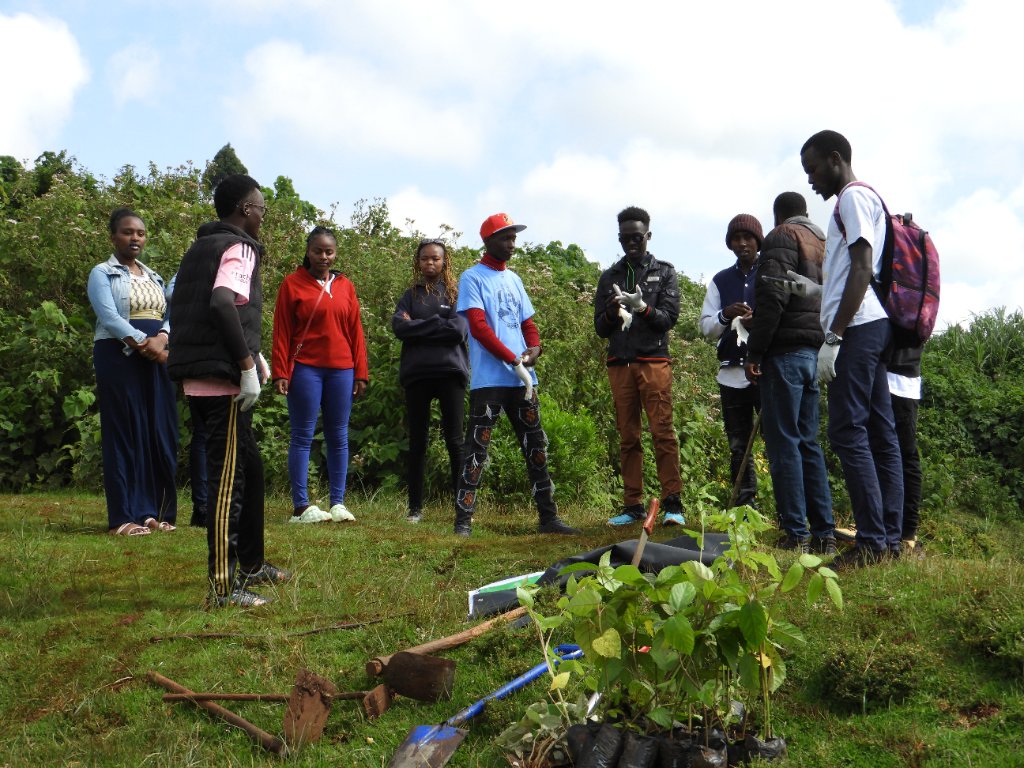 Youth volunteers with protective gloves gathering around native tree seedlings and planting tools at Manguo Wetland, Limuru, Kenya, June 2025