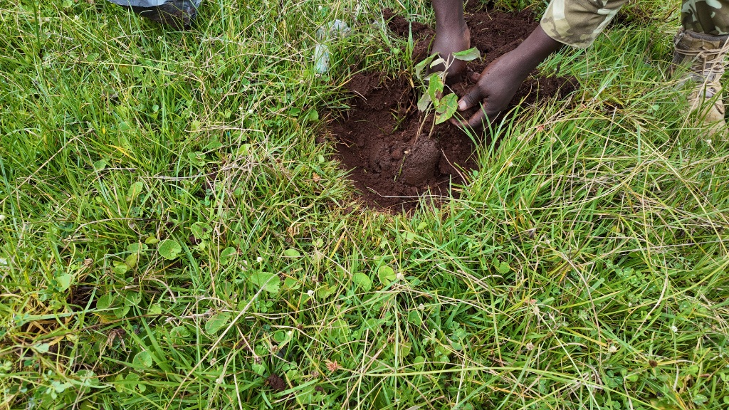 Community members gathered at Manguo Wetland during a restoration activity, Limuru, Kenya, November 2025