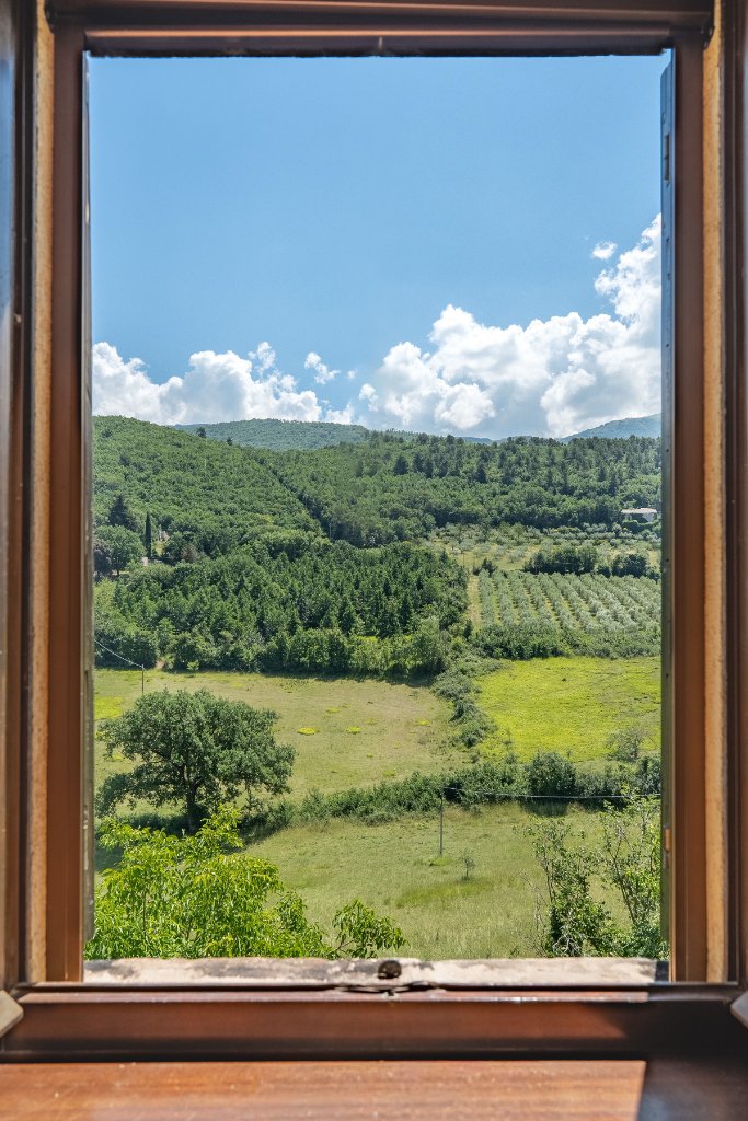 Sage green kitchen with countryside window view