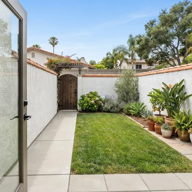The sample backyard photo before the concept