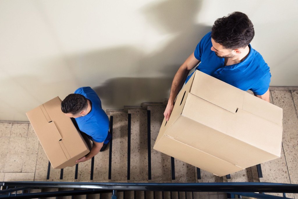 D & L Movers crew carrying boxes up the stairs