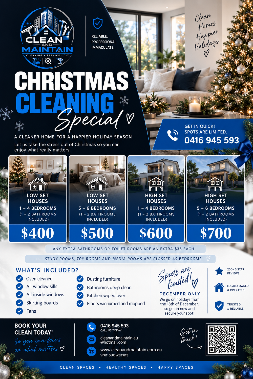 Christmas Spring Clean Special - Clean & Maintain