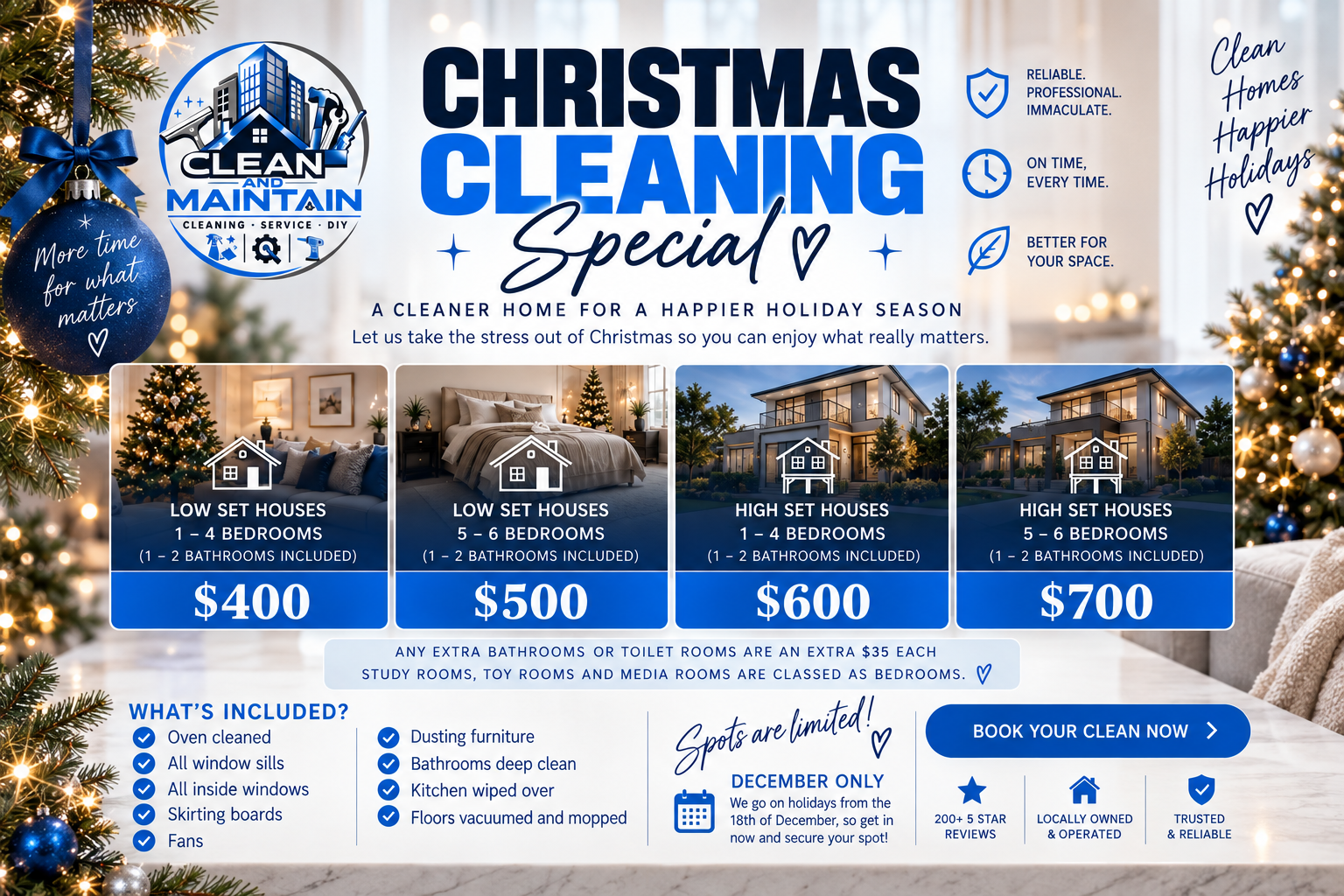 Christmas Spring Clean Special - Clean & Maintain