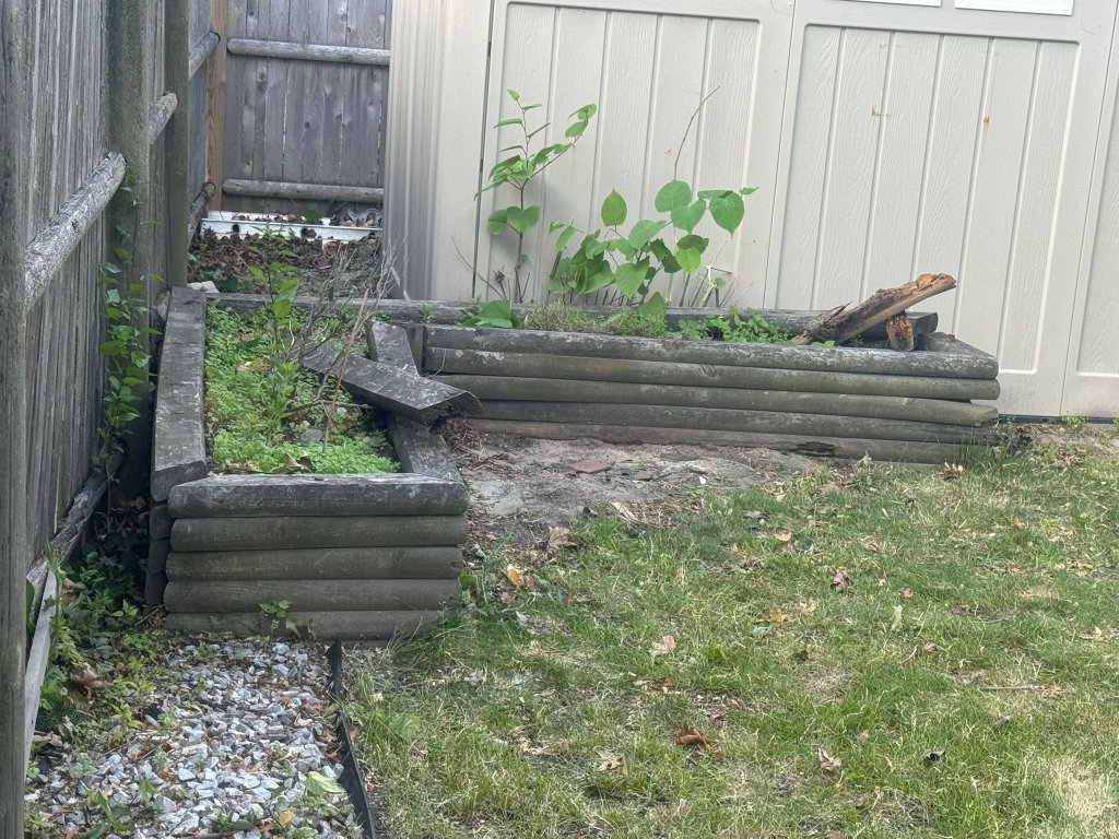 Decaying L-shaped timber garden bed before renovation