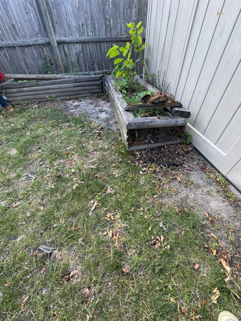 Deteriorating log garden beds with overgrown weeds before renovation