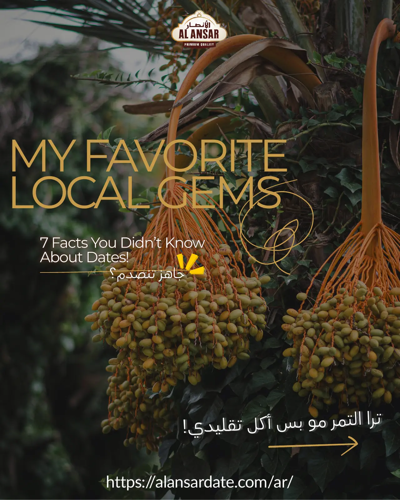 الأنصار للتمور