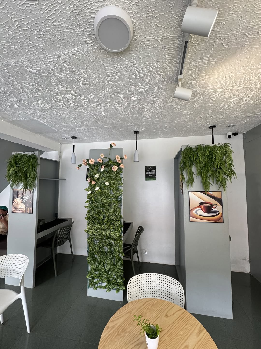 Vinzon Branch plant-wall lounge