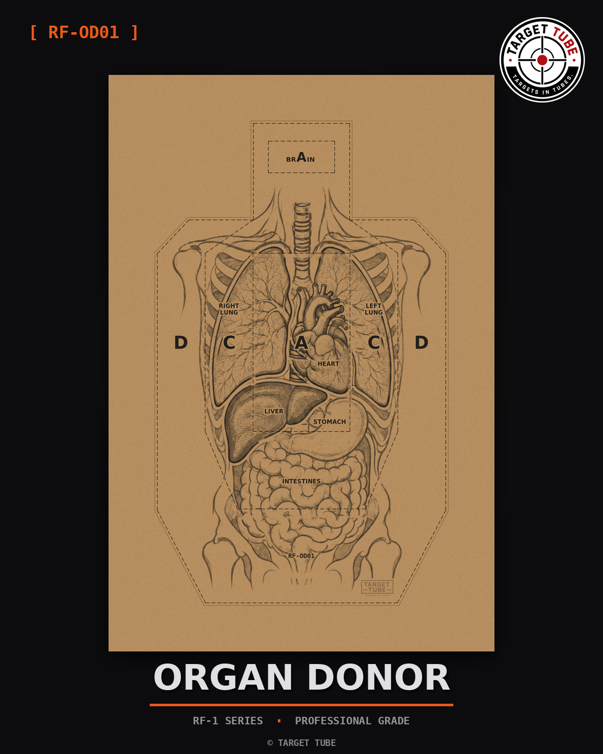 Organ Donor