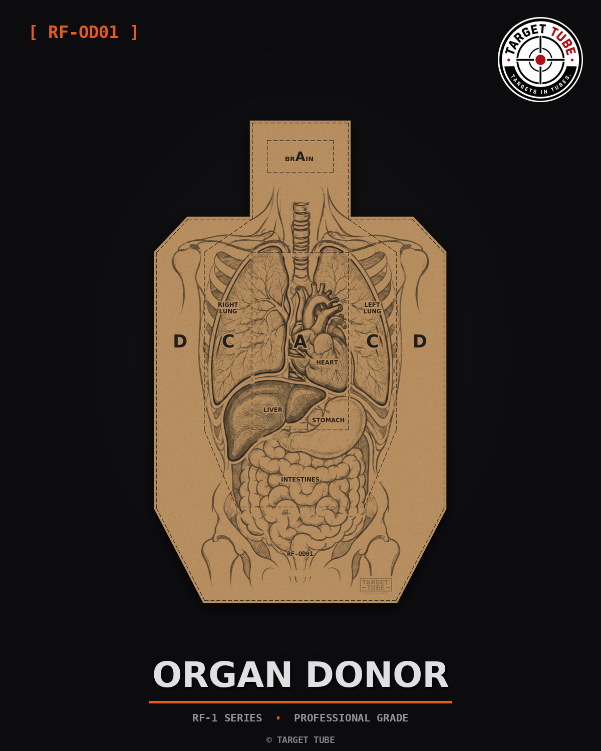 Organ Donor