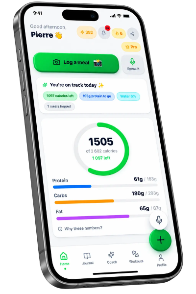 Navilo Health app home screen — calories, protein, carbs and fat at a glance Navilo Health app home screen on an iPhone: 1,505 of 2,602 calories logged with 1,097 left, protein 61g of 163g, carbs 180g of 293g, fat 65g of 87g, a Log a meal button and voice logging