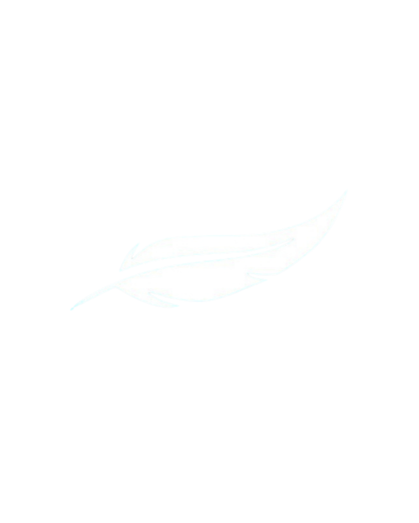 Découverte de l'Islam