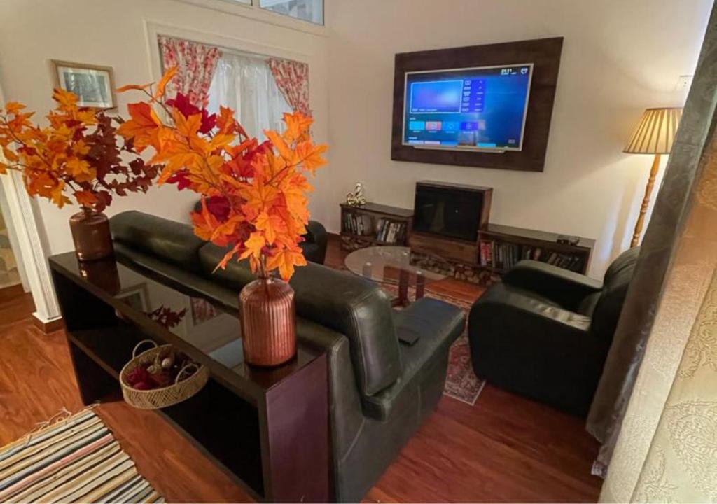 Ethnic Apartment