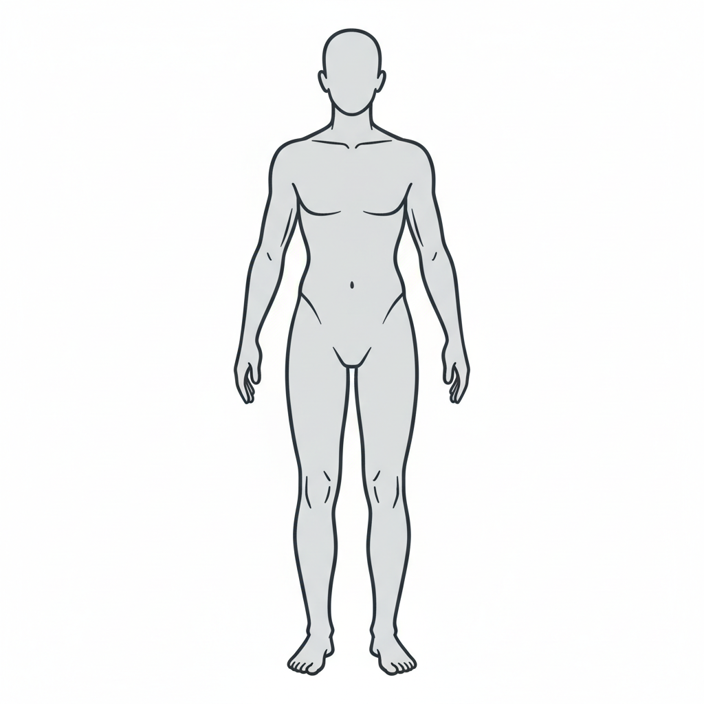 Human body diagram