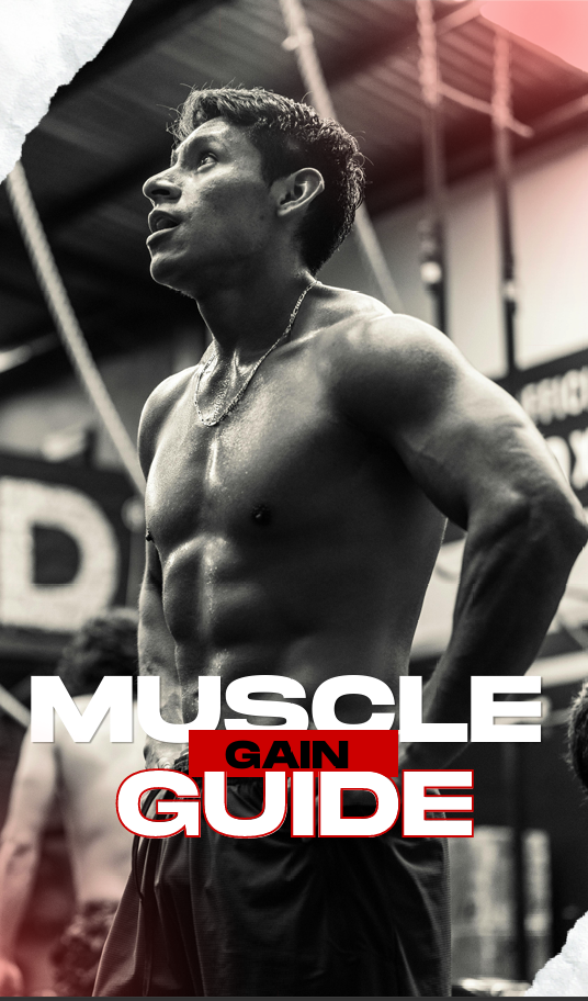 Muscle Gain Guide