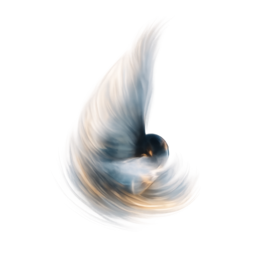 The Flying Network — Home