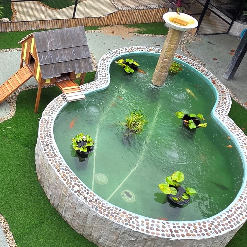 Koi Pond