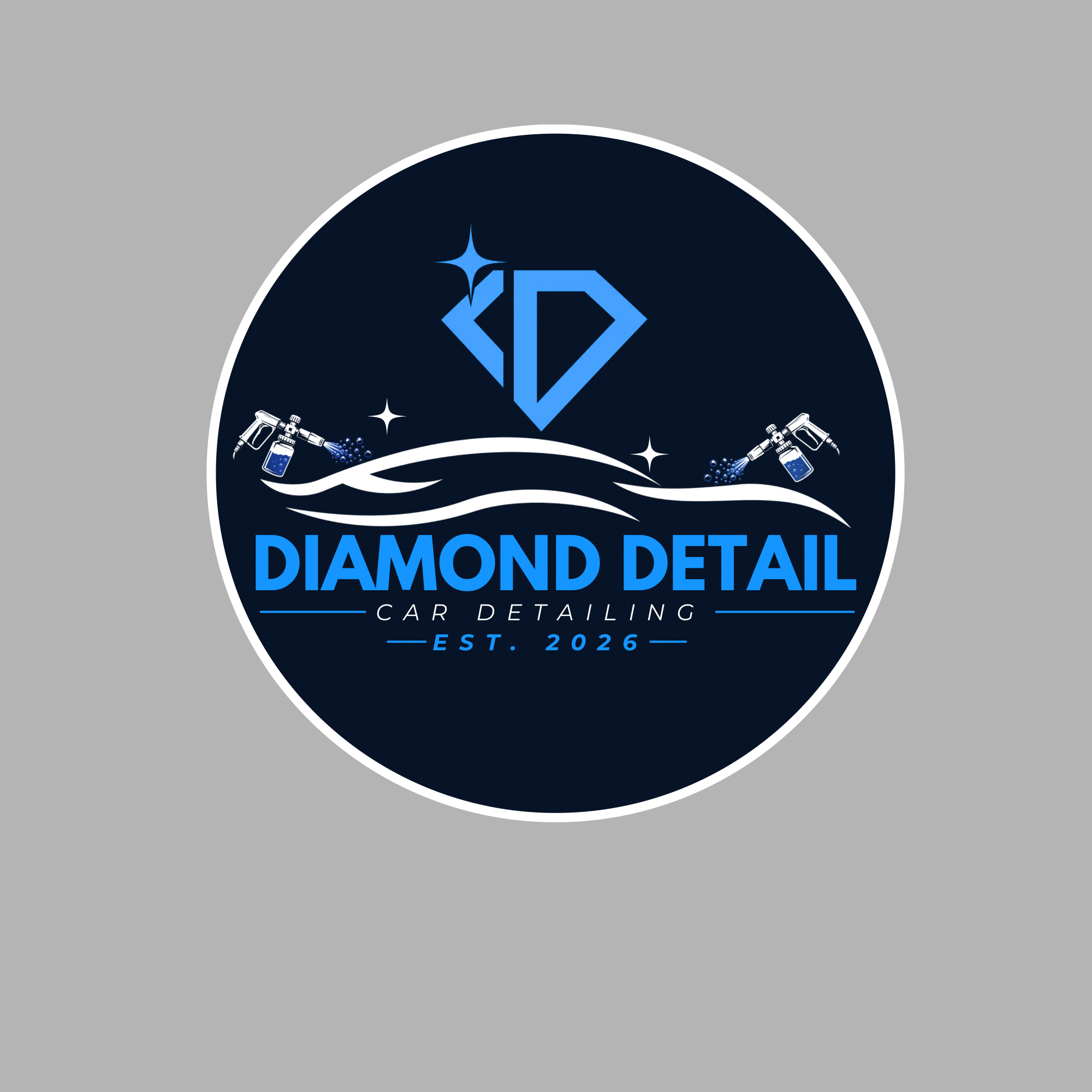 Professional auto detailing in progress