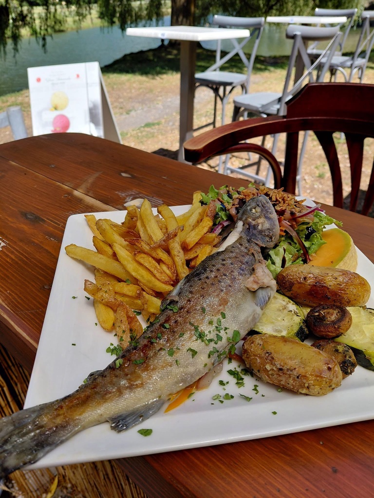 Truite grillée, frites maison et salade fraîche