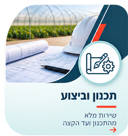 תכנון וביצוע