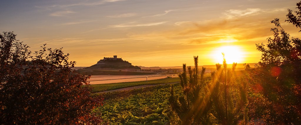 Wine & Dine: Ribera del Duero