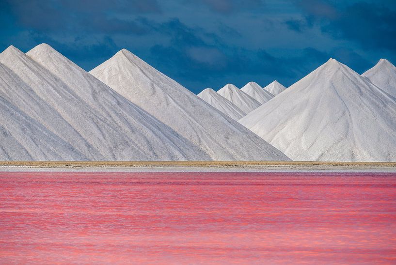 The Pink Salt Pans