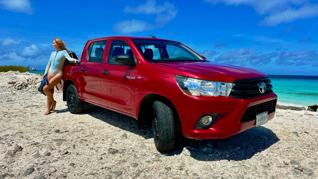 Pickup Truck Deluxe