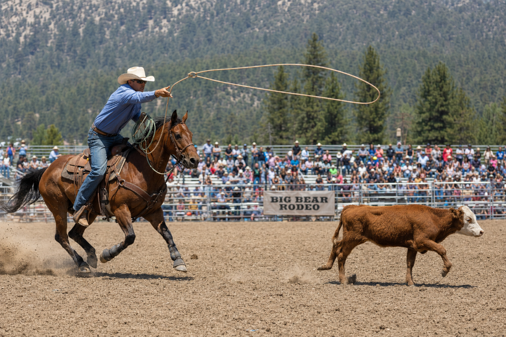 Tie-Down Roping
