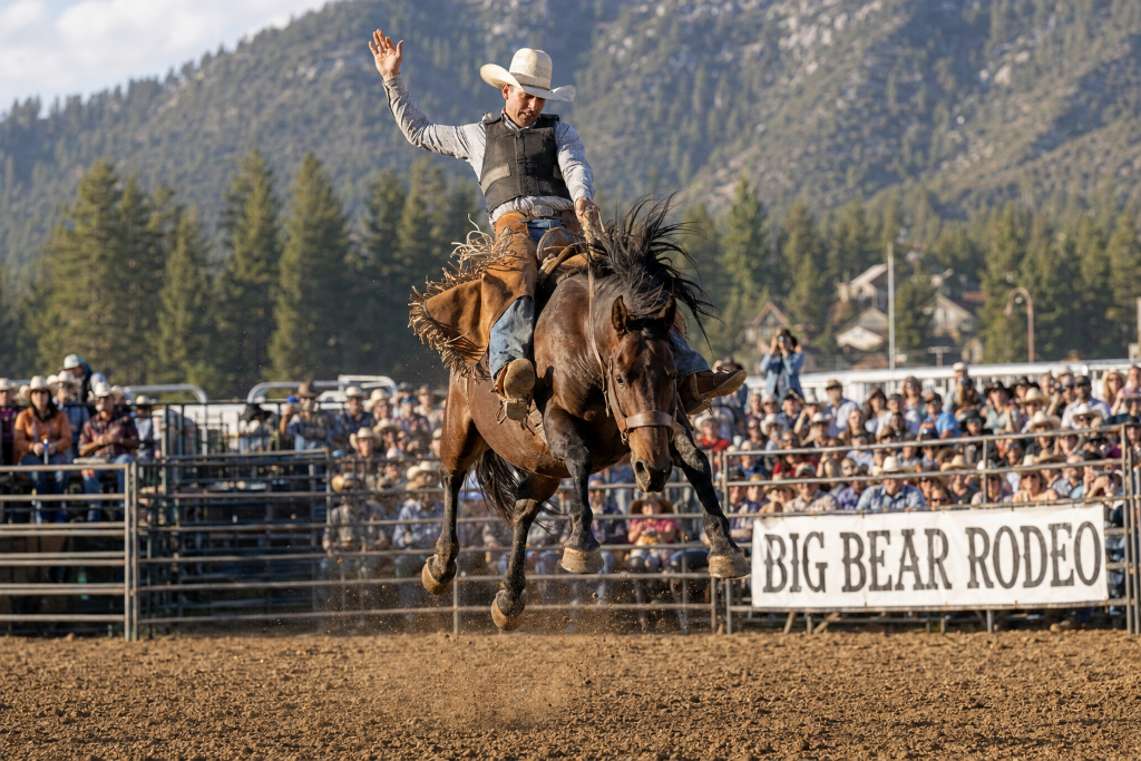 Saddle Bronc Riding