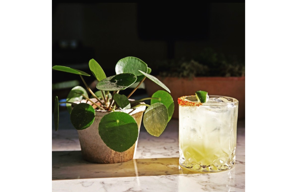 Cocktail and potted plant on marble