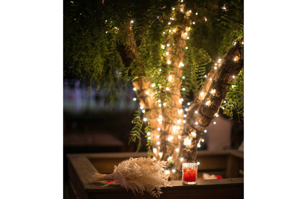 Tree wrapped in string lights at night