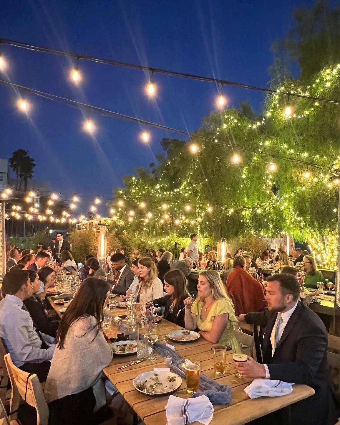 Evening garden dinner beneath a canopy of string lights