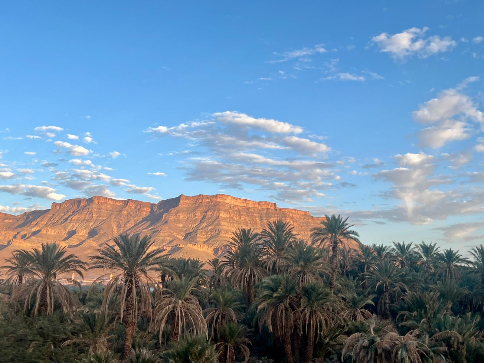 Oasis con palmeras al pie de la montaña - Expediciones y Fechas