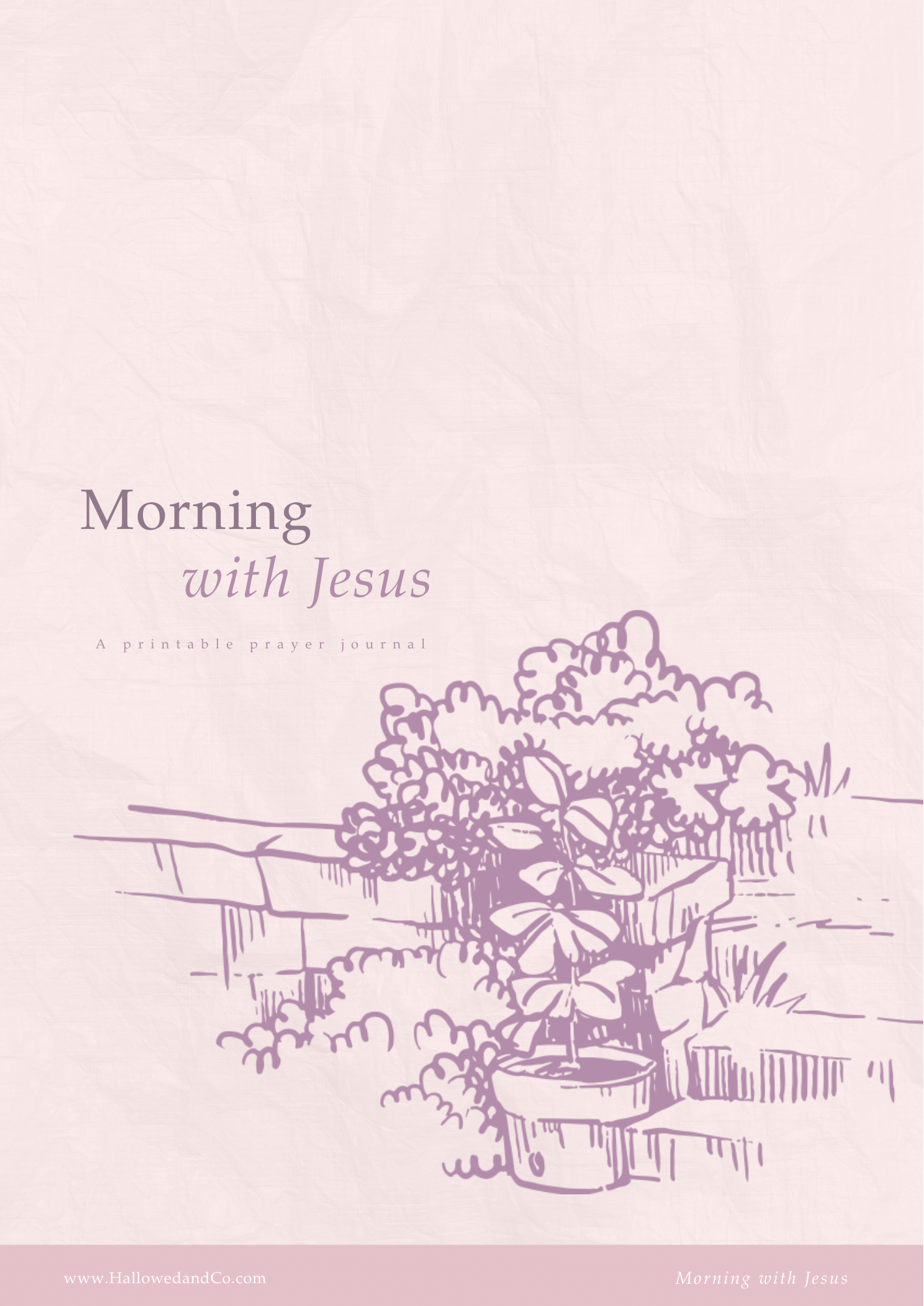 Morning with Jesus cover