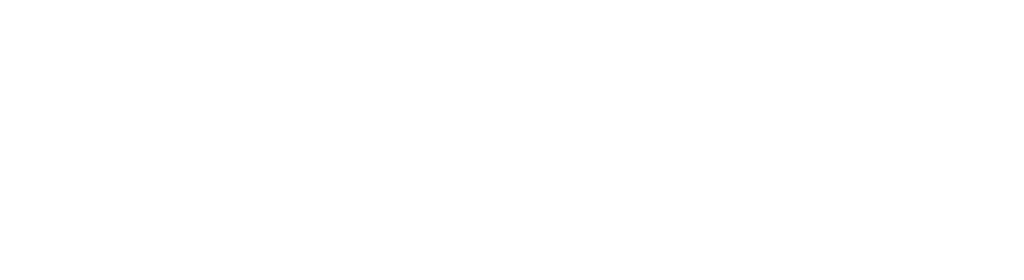 Renzi Viajes