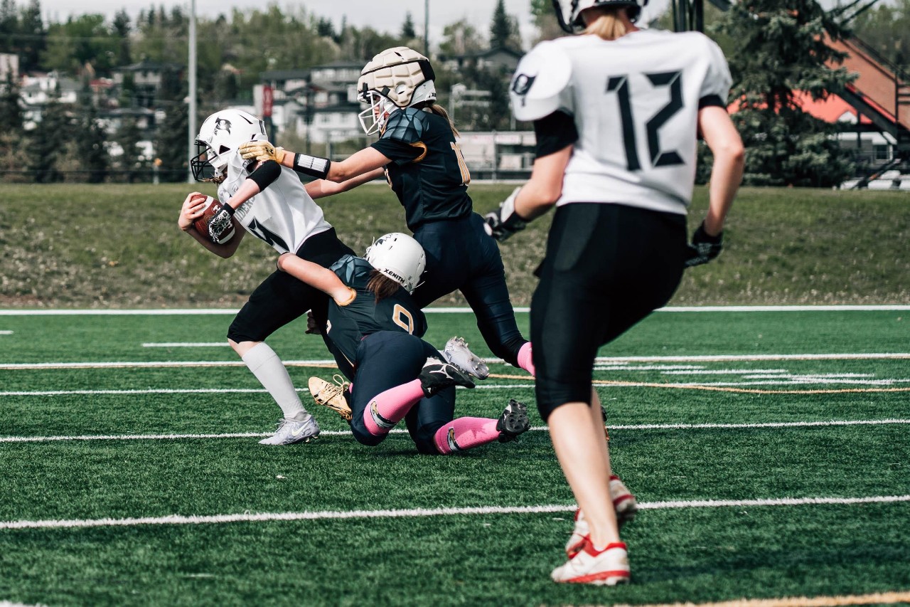 Ball carrier