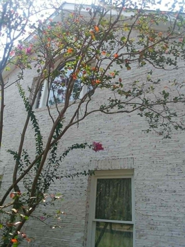 Brick side — before treatment