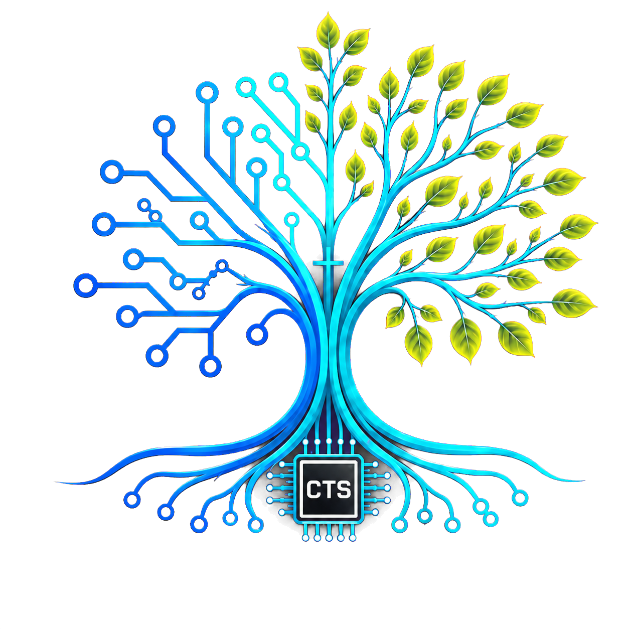 Chosen Tech Solutions — Enterprise Technology & Business Solutions