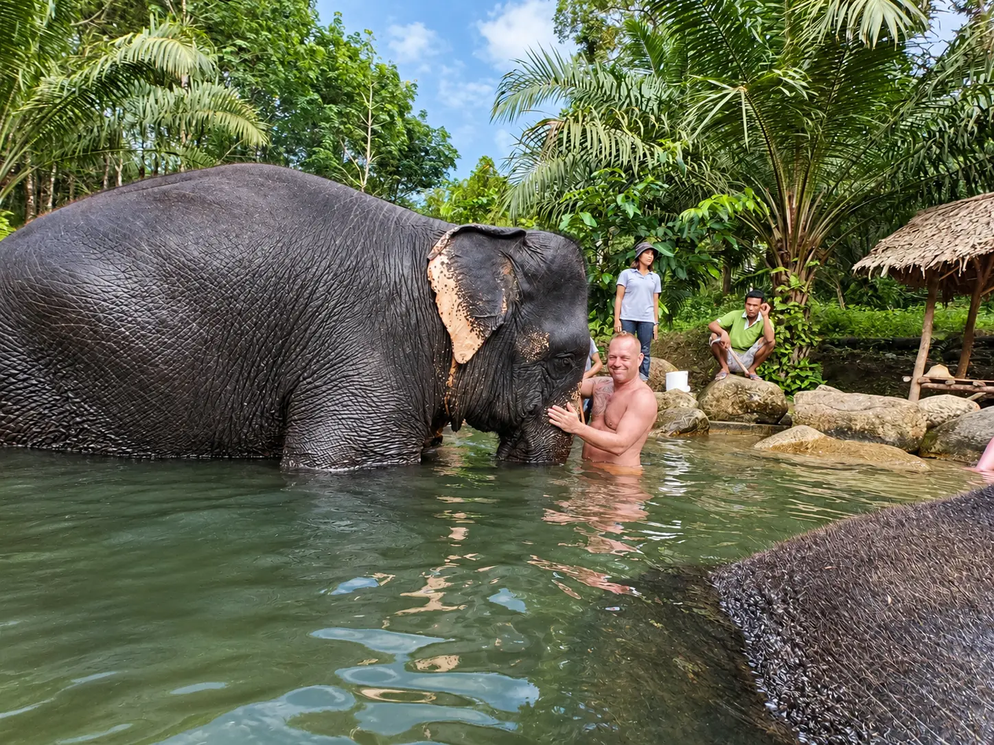 Kapong Tubing & Elephant Trekking