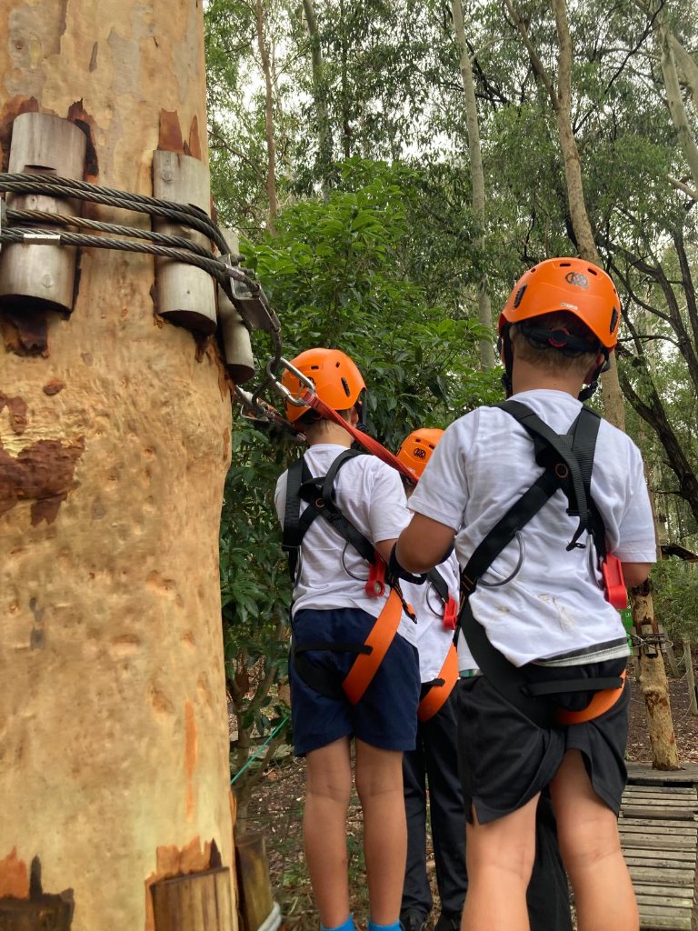 Treehouse platform