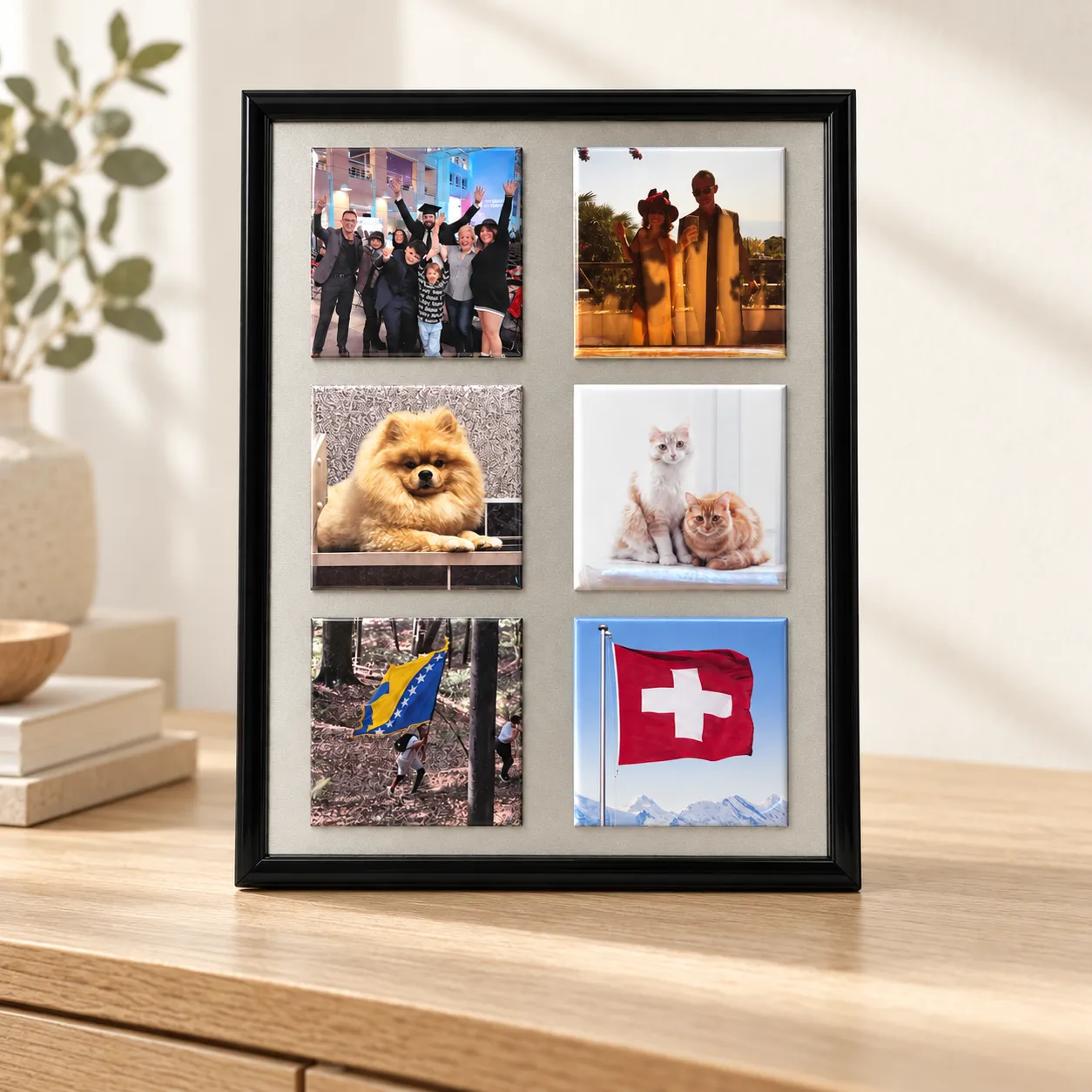 CHF 46.- avec 6 magnets