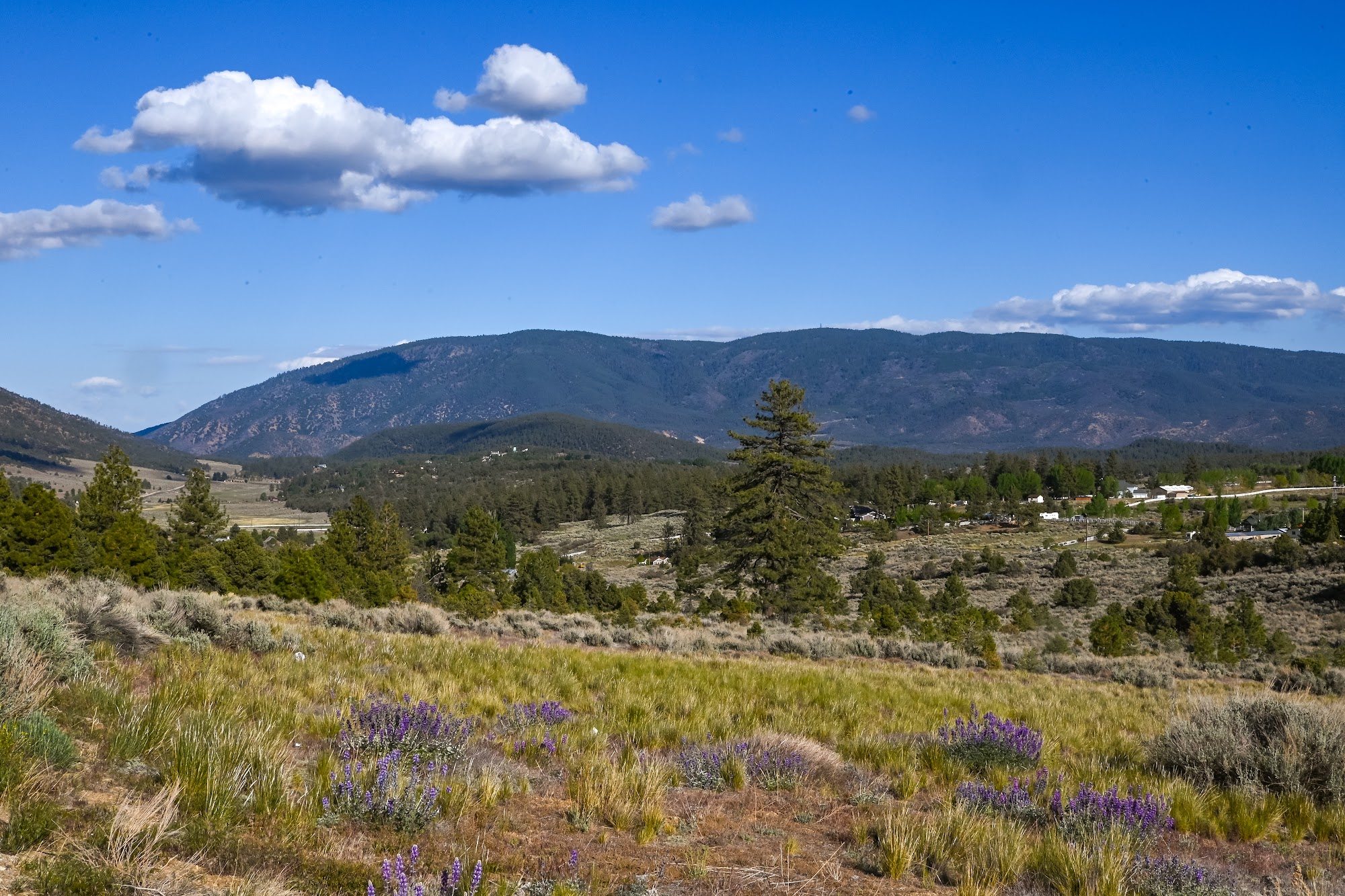 Cuddy Valley in the Frazier Mountain area