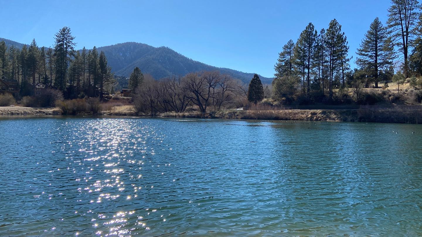 Fern's Lake with mountain and pine views in Pine Mountain Club