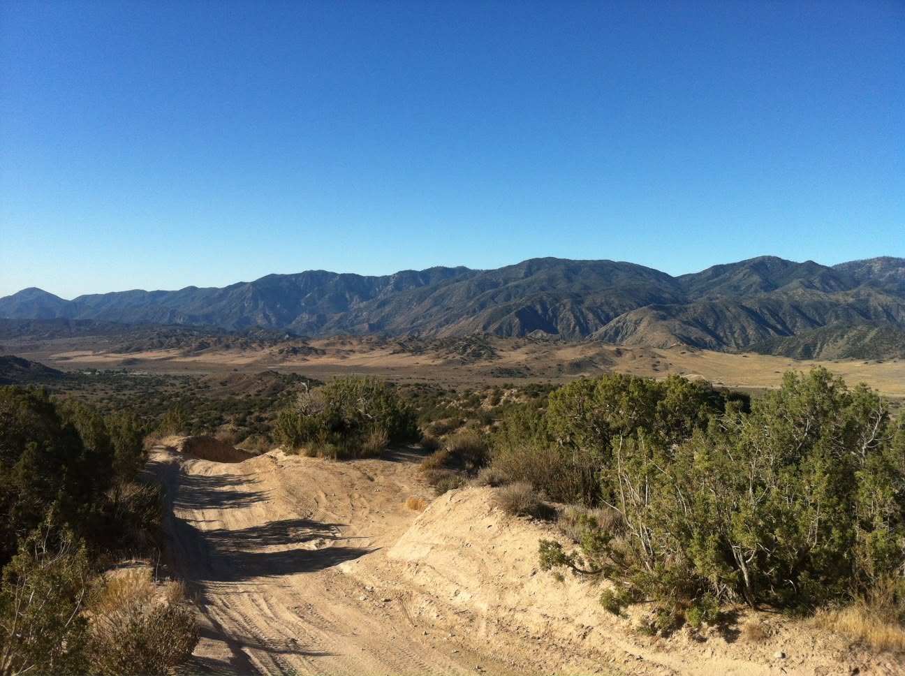 Dirt trail winding through Hungry Valley SVRA