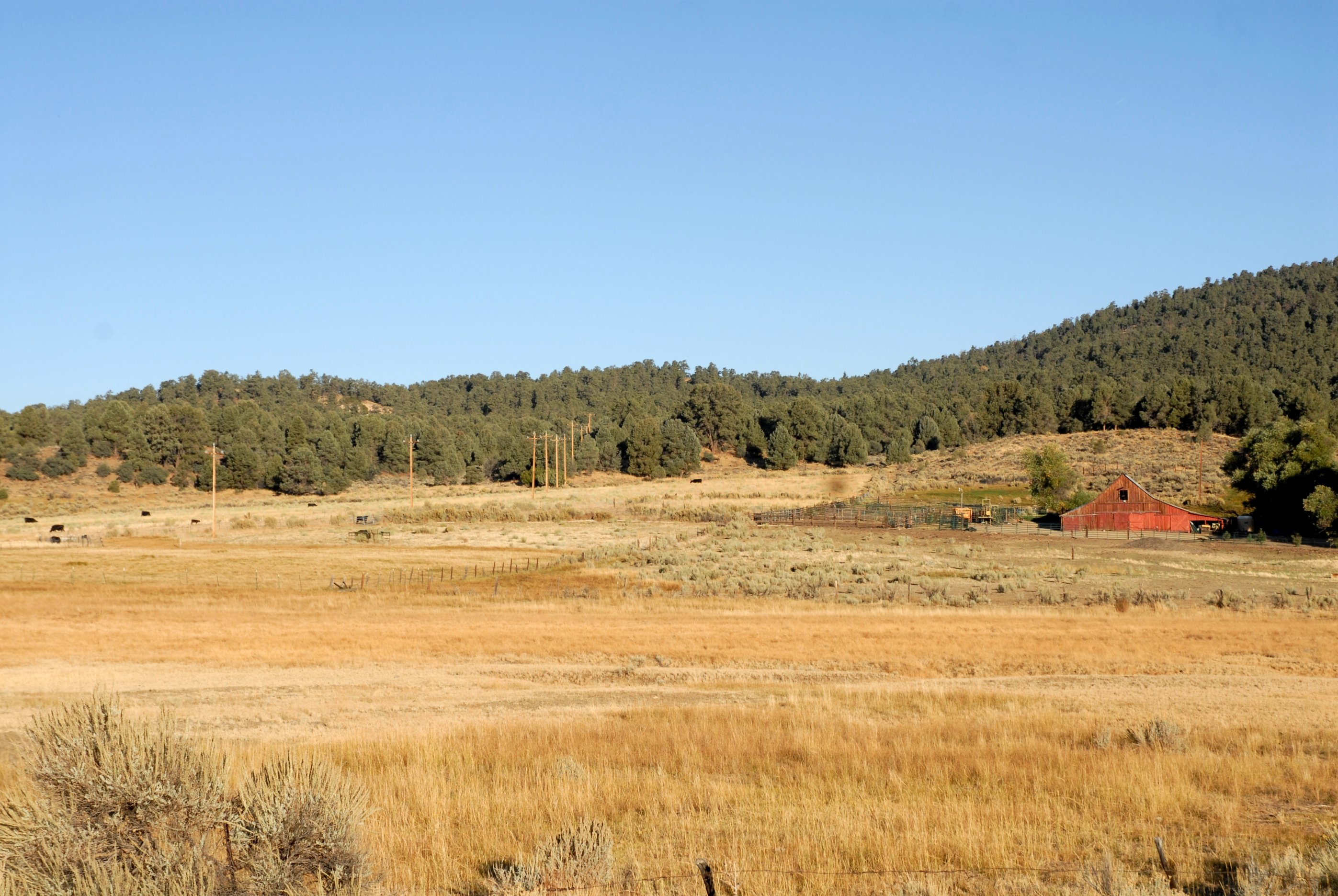 Red barn surrounded by open ranchland and wooded hills in Lockwood Valley