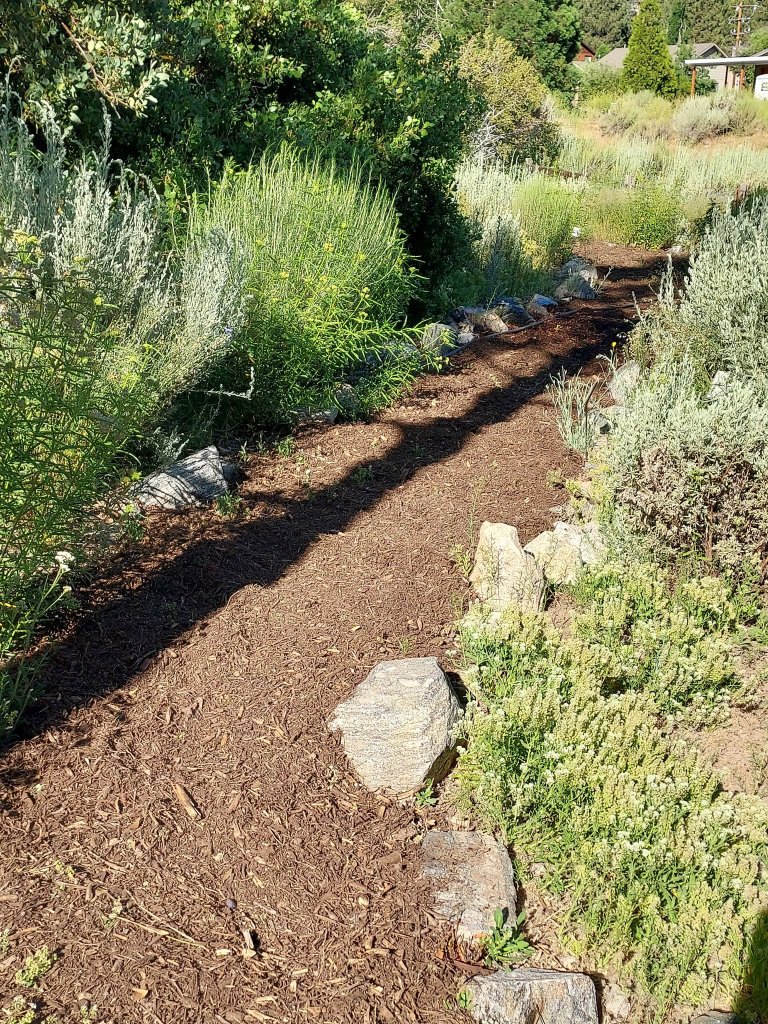 Lockhart Native Plant Garden at Pine Mountain Club